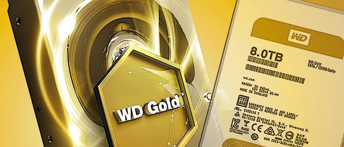 هارد دیسک اینترنال وسترن دیجیتال GOLD ENTERPRISE-CLASS 10TB WD101KRYZ