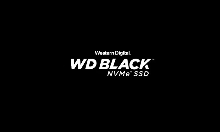 اس‌اس‌دی وسترن دیجیتال BLACK NVME (2018) 250GB WDS250G2X0C