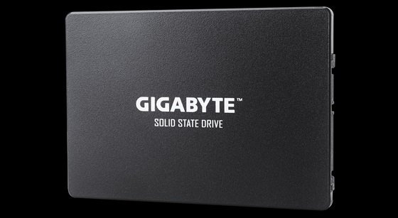 اس‌اس‌دی گیگابایت GP-GSTFS31120GNTD 120GB